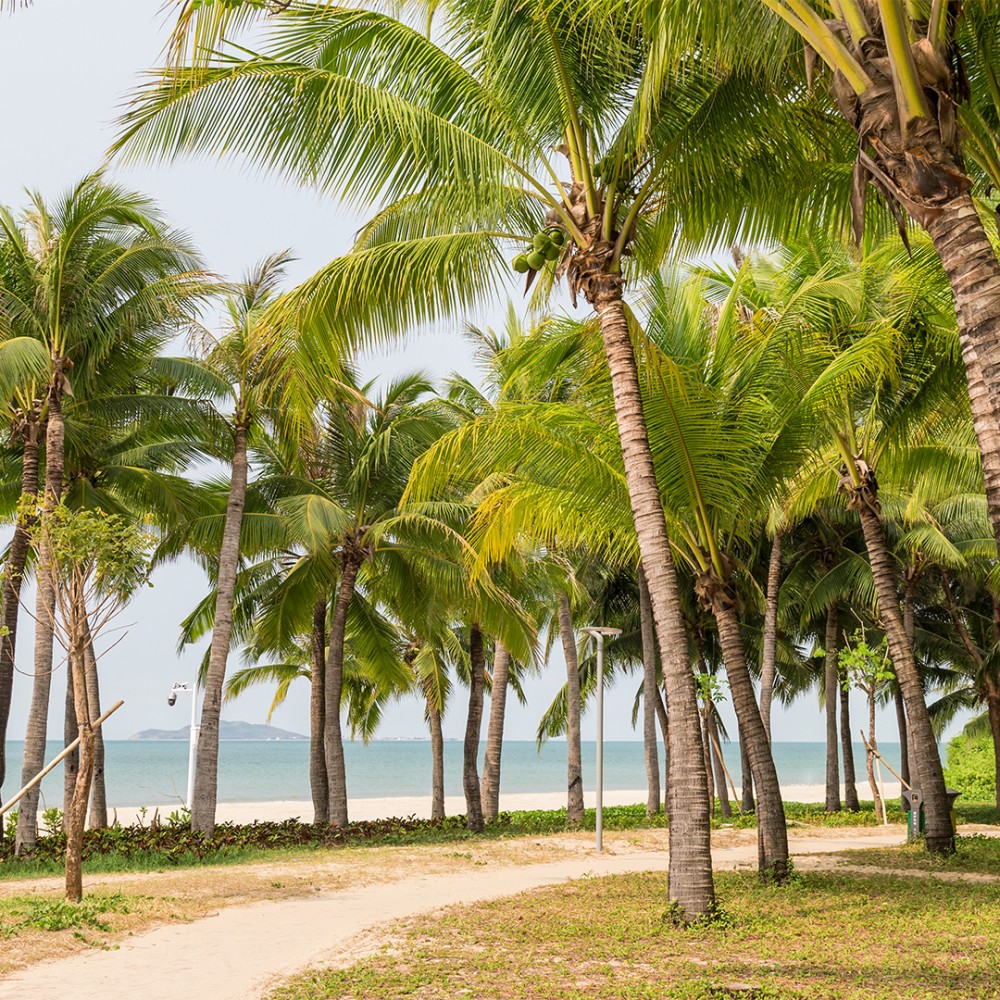 Tour China Hainan 6D (WITH NANSHAN BUDDHISM CULTURAL TOURISM ZONE)