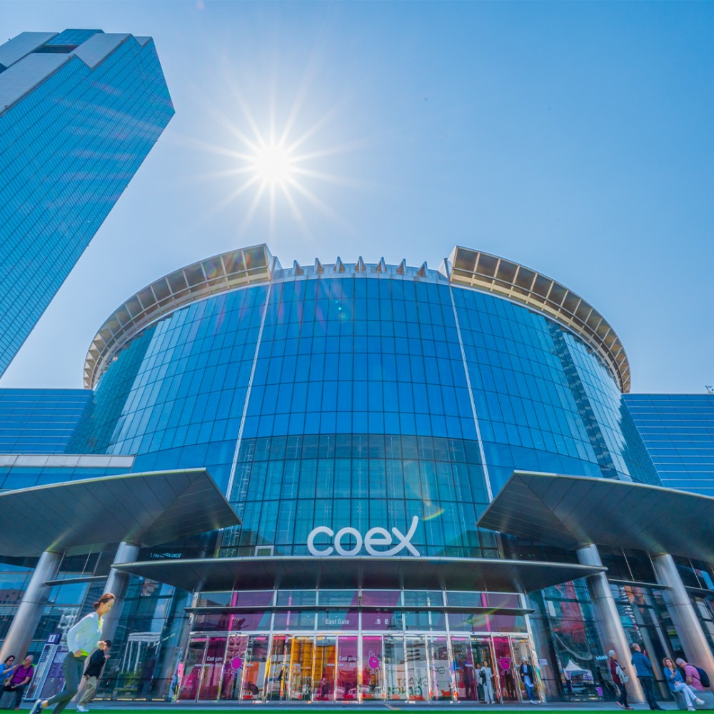 KOREA 6D WINTER SERIES BY SQ