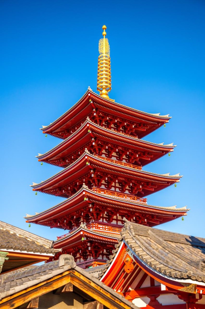 Tour Jepang Tokyo 6D4N