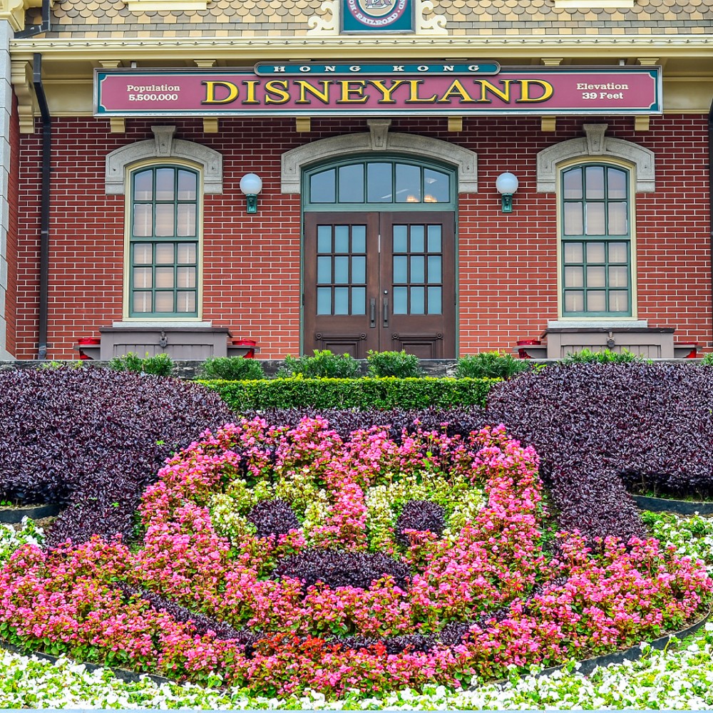 Tour Hong Kong 5D3N (FREE HONG KONG DISNEYLAND)