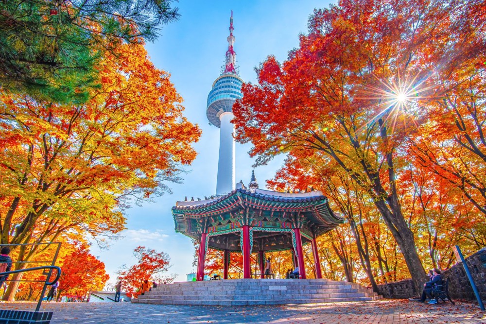 KOREA 6D AUTUMN SERIES 6D4N