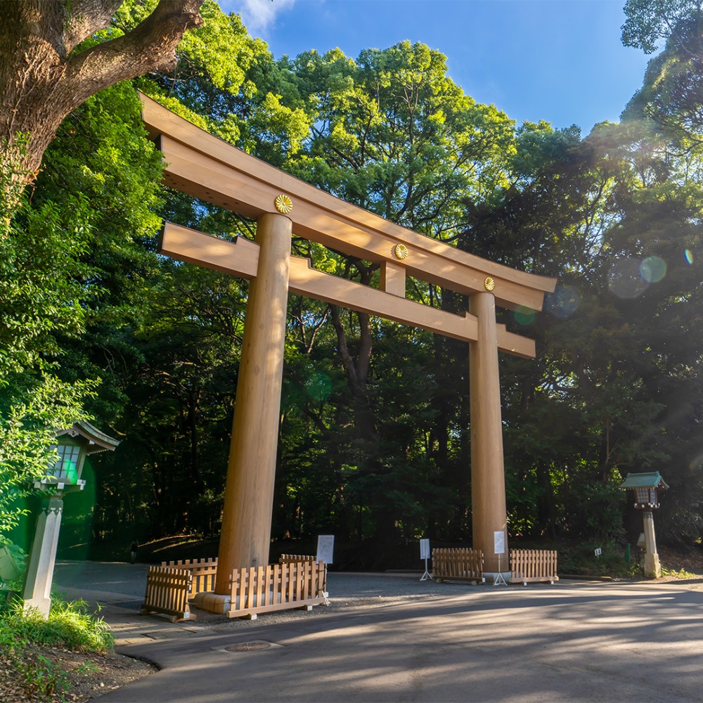 Tour Jepang Tokyo Osaka Kyoto 7D5N